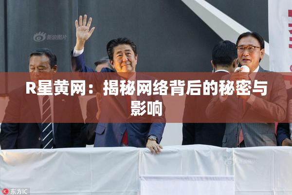 R星黄网：揭秘网络背后的秘密与影响