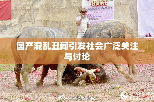国产混乱丑闻引发社会广泛关注与讨论