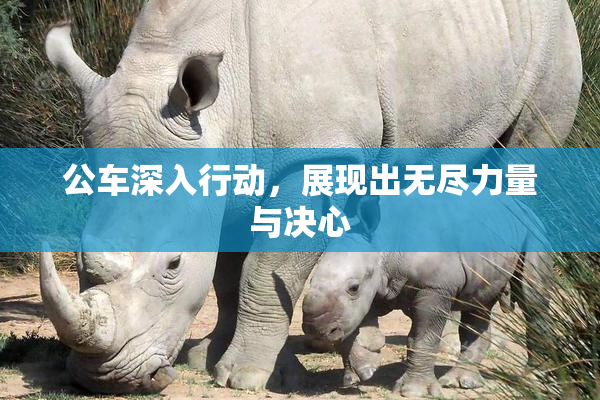 公车深入行动，展现出无尽力量与决心