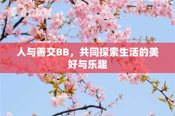 人与善交BB，共同探索生活的美好与乐趣