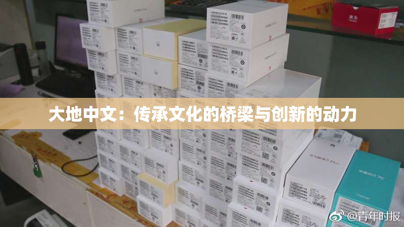 大地中文：传承文化的桥梁与创新的动力