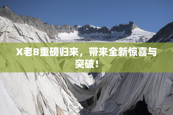 X老B重磅归来，带来全新惊喜与突破！