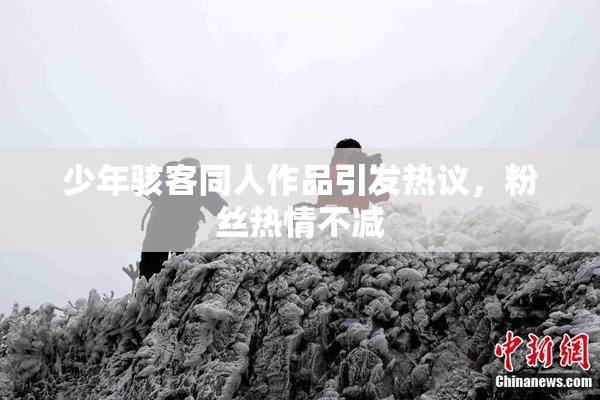 少年骇客同人作品引发热议，粉丝热情不减