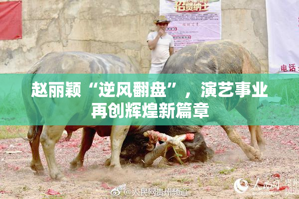 赵丽颖“逆风翻盘”，演艺事业再创辉煌新篇章