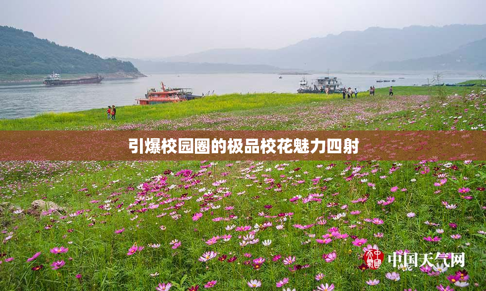 引爆校园圈的极品校花魅力四射