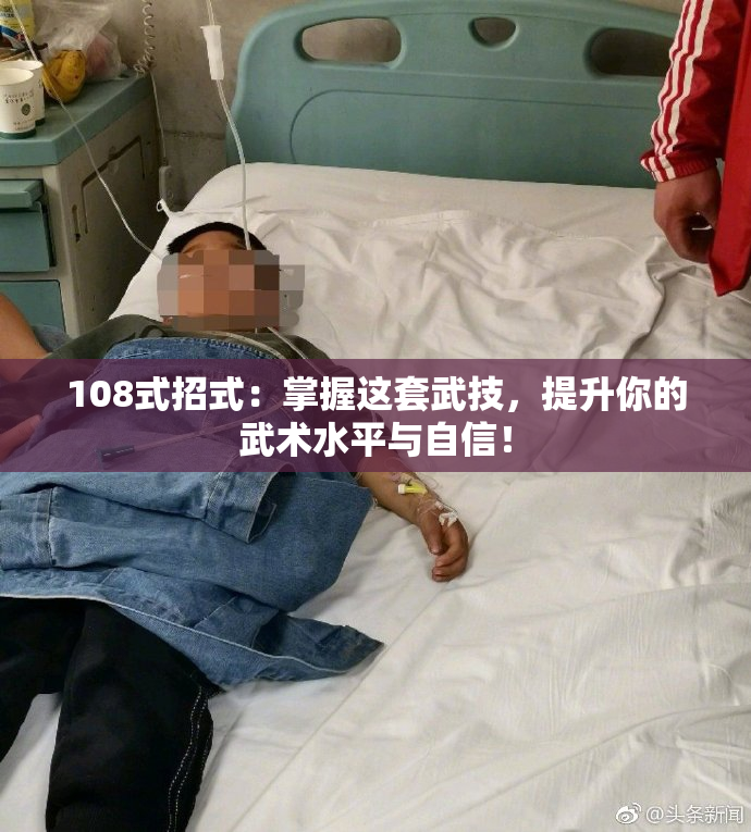 108式招式：掌握这套武技，提升你的武术水平与自信！