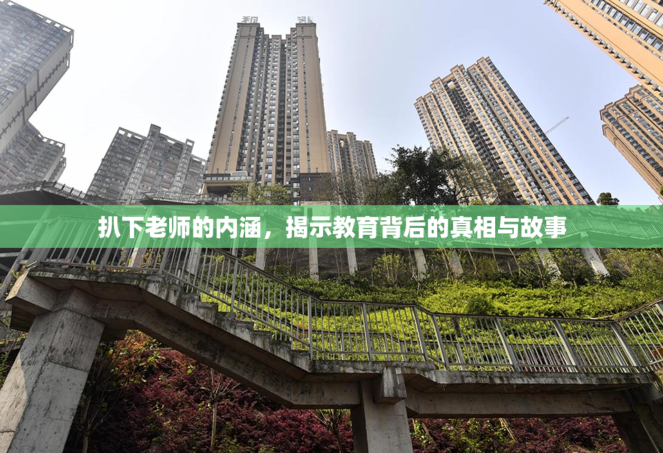 扒下老师的内涵，揭示教育背后的真相与故事