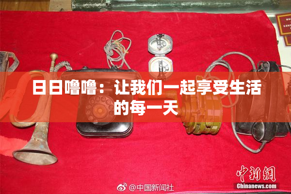 日日噜噜：让我们一起享受生活的每一天