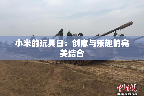 小米的玩具日：创意与乐趣的完美结合