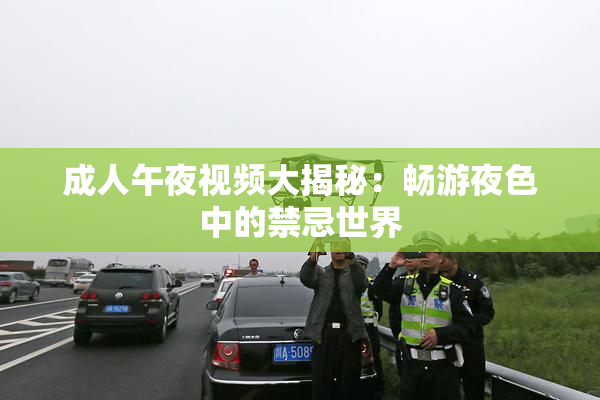 成人午夜视频大揭秘：畅游夜色中的禁忌世界