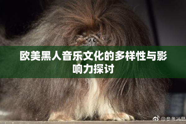 欧美黑人音乐文化的多样性与影响力探讨