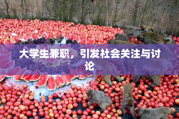 大学生兼职，引发社会关注与讨论