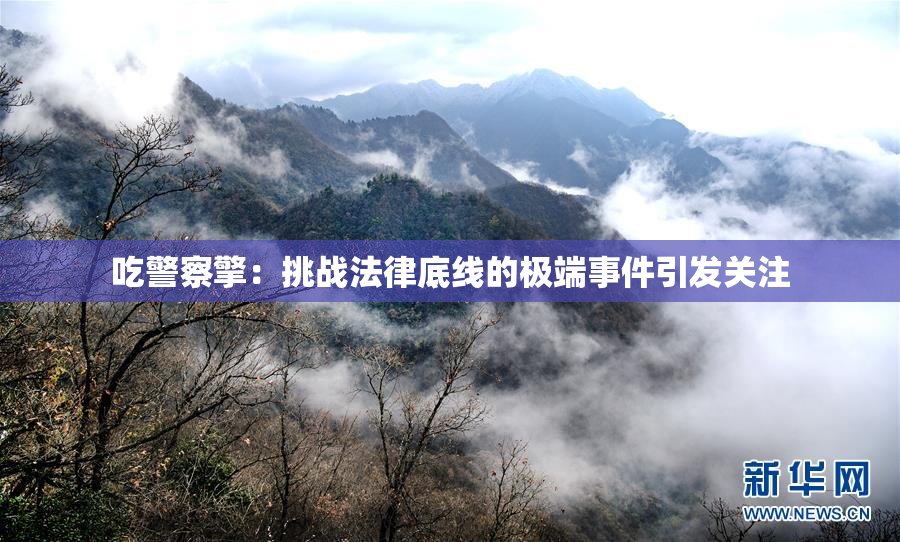 吃警察擎：挑战法律底线的极端事件引发关注