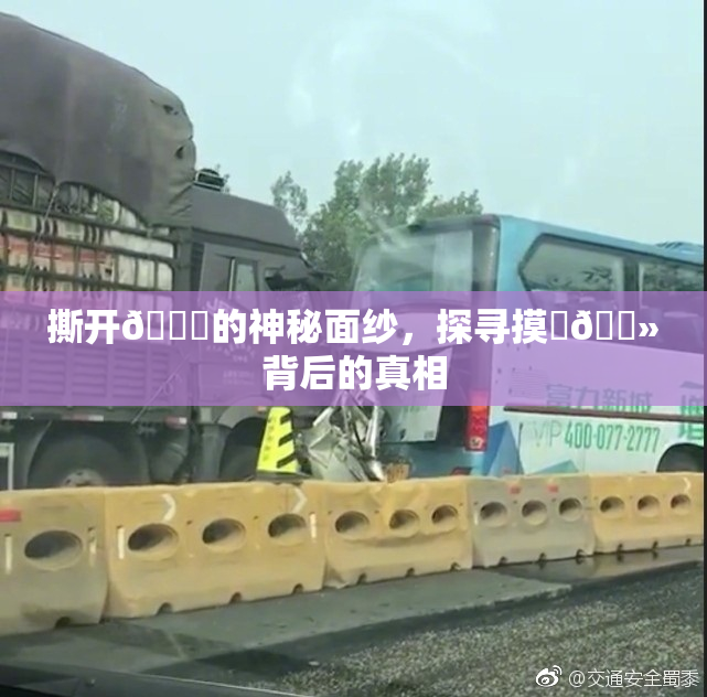撕开👙的神秘面纱，探寻摸‌🐻背后的真相