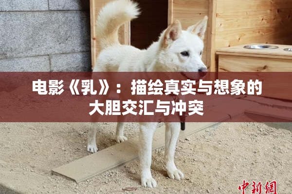 电影《乳》：描绘真实与想象的大胆交汇与冲突