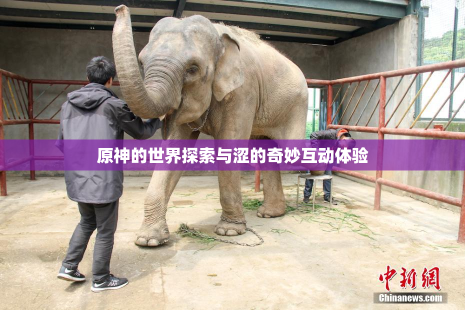 原神的世界探索与涩的奇妙互动体验