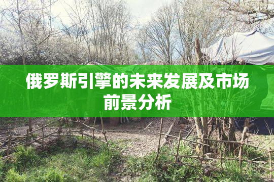 俄罗斯引擎的未来发展及市场前景分析