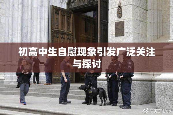初高中生自慰现象引发广泛关注与探讨