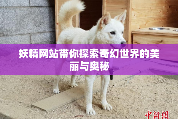 妖精网站带你探索奇幻世界的美丽与奥秘