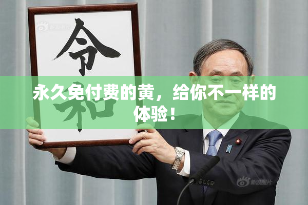 永久免付费的黄，给你不一样的体验！