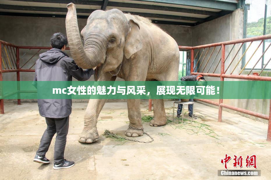 mc女性的魅力与风采，展现无限可能！