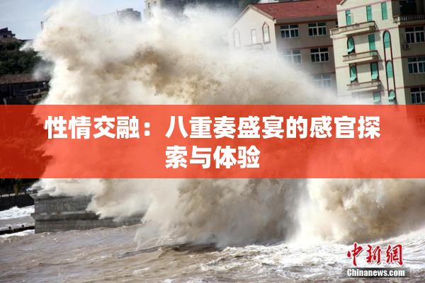 性情交融：八重奏盛宴的感官探索与体验