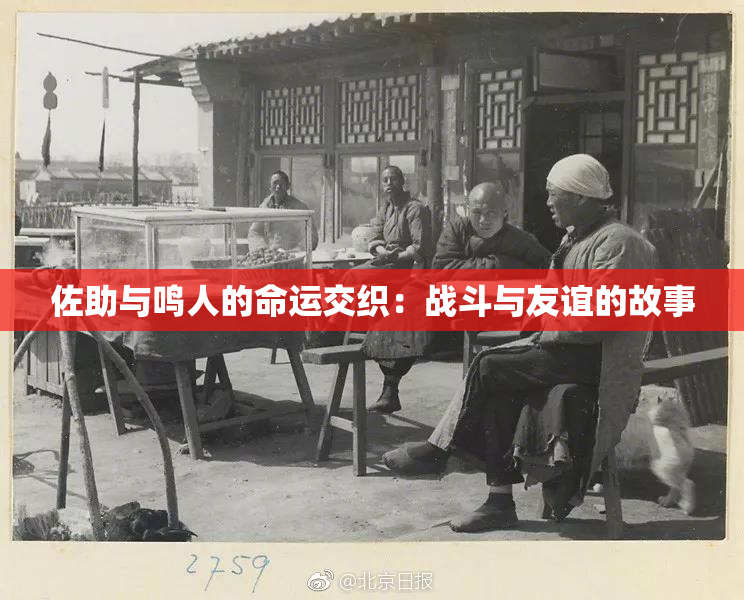 佐助与鸣人的命运交织：战斗与友谊的故事