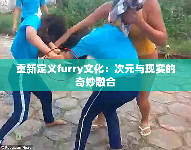 重新定义furry文化：次元与现实的奇妙融合