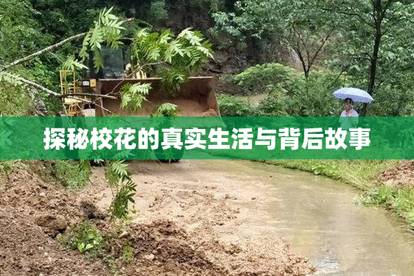 探秘校花的真实生活与背后故事