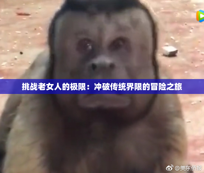 挑战老女人的极限：冲破传统界限的冒险之旅