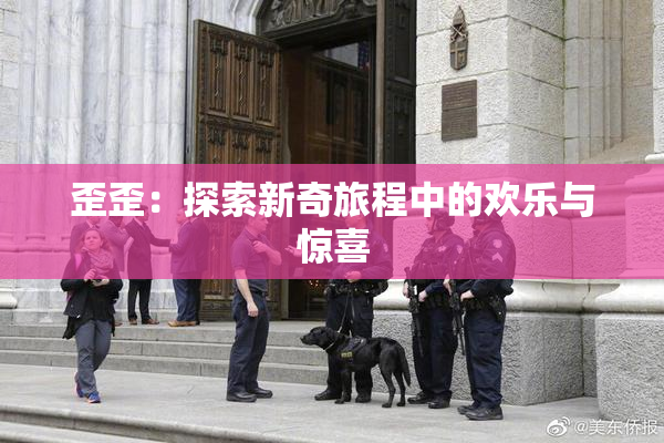 歪歪：探索新奇旅程中的欢乐与惊喜