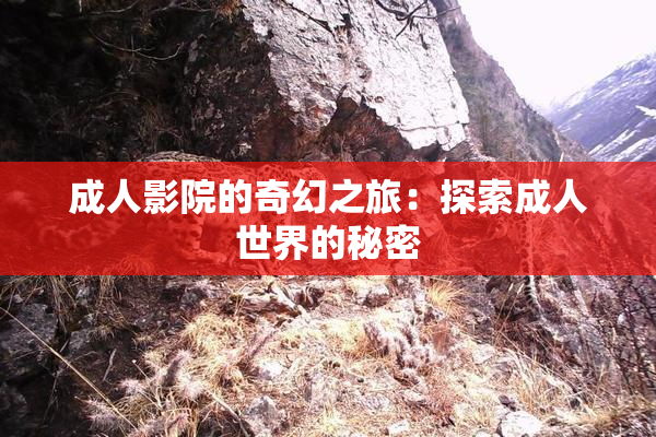 成人影院的奇幻之旅：探索成人世界的秘密