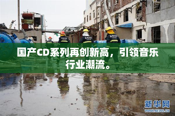 国产CD系列再创新高，引领音乐行业潮流。