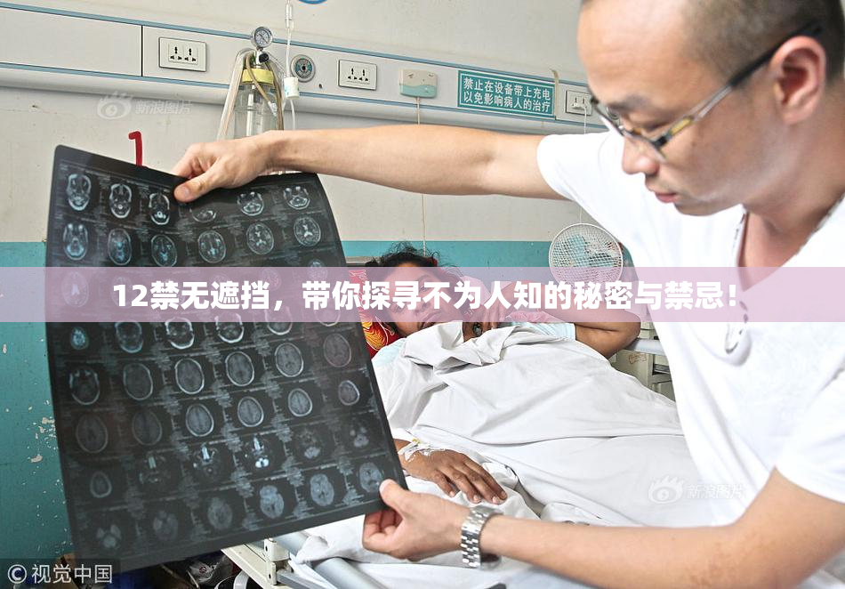 12禁无遮挡，带你探寻不为人知的秘密与禁忌！