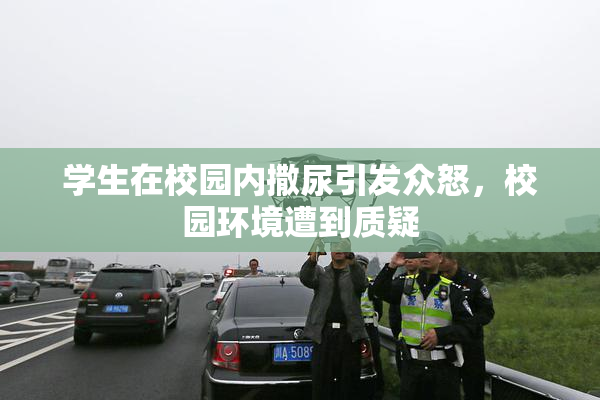 学生在校园内撒尿引发众怒，校园环境遭到质疑