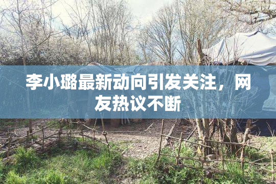 李小璐最新动向引发关注，网友热议不断