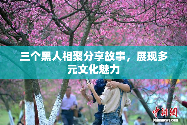 三个黑人相聚分享故事，展现多元文化魅力