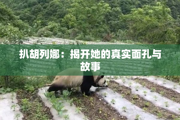 扒胡列娜：揭开她的真实面孔与故事