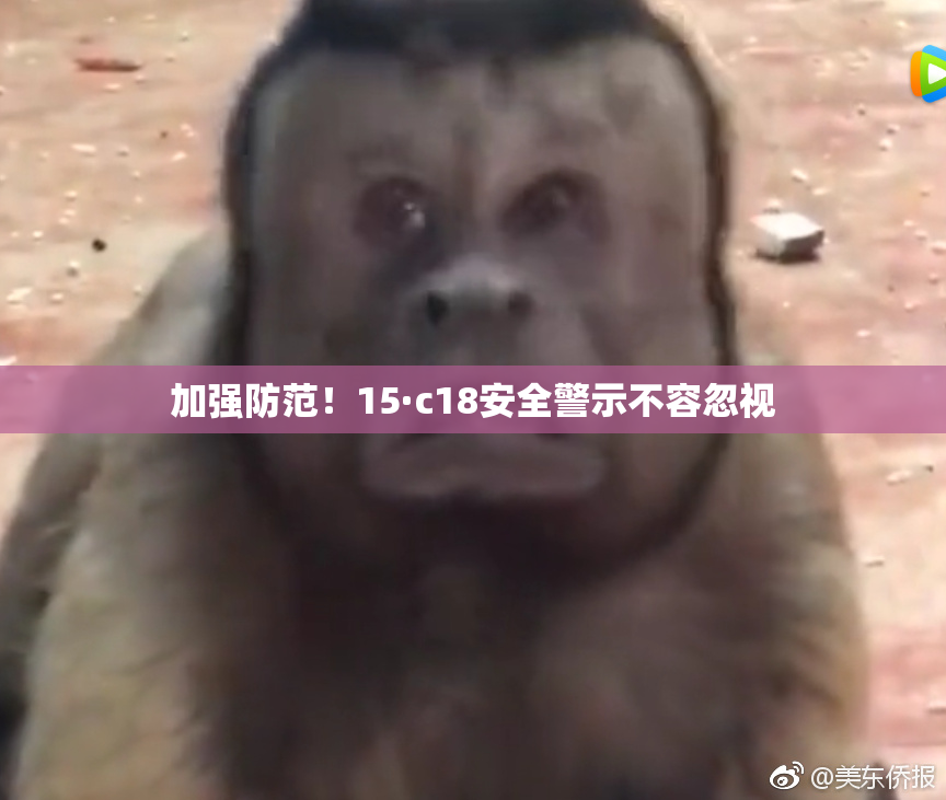 加强防范！15·c18安全警示不容忽视