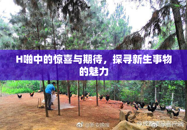 H啪中的惊喜与期待，探寻新生事物的魅力
