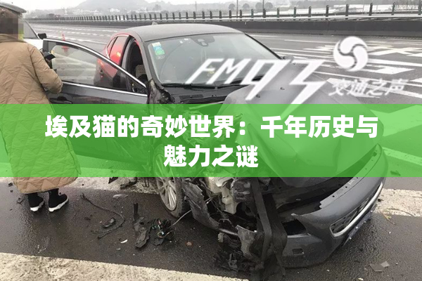 埃及猫的奇妙世界：千年历史与魅力之谜