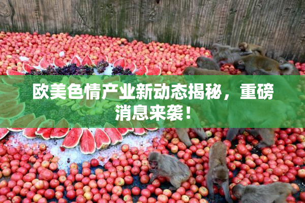 欧美色情产业新动态揭秘，重磅消息来袭！