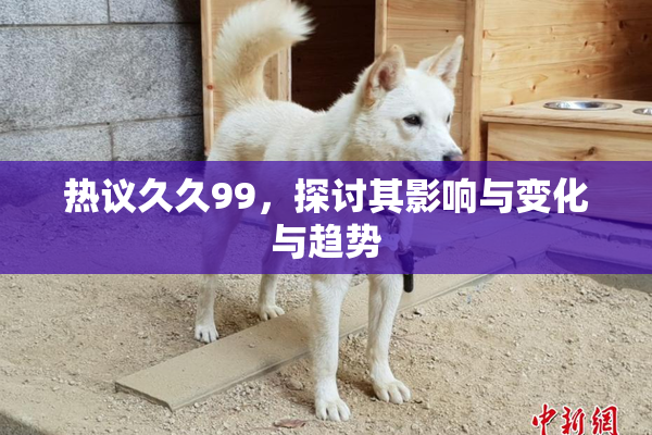 热议久久99，探讨其影响与变化与趋势
