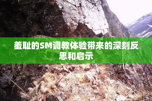 羞耻的SM调教体验带来的深刻反思和启示