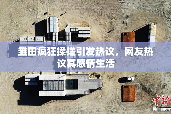 雏田疯狂揉搓引发热议，网友热议其感情生活