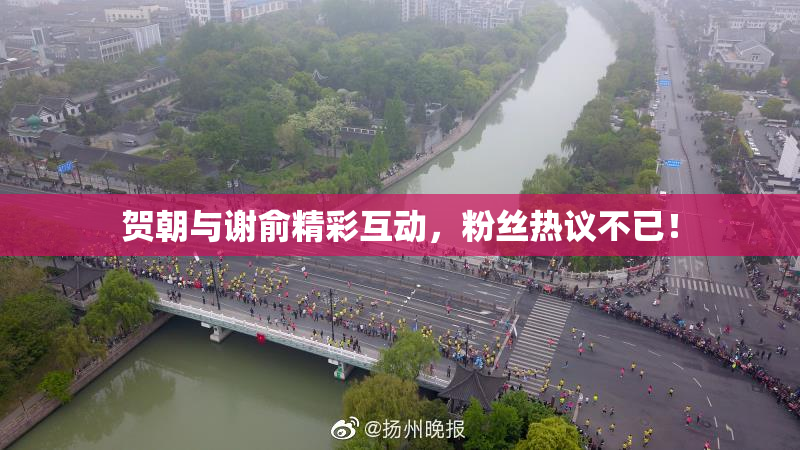 贺朝与谢俞精彩互动，粉丝热议不已！