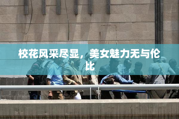 校花风采尽显，美女魅力无与伦比