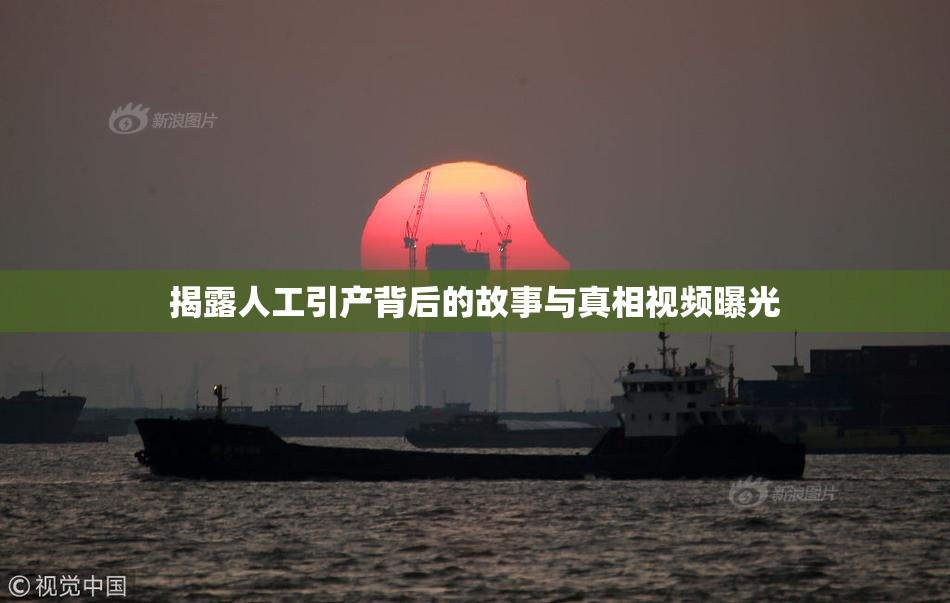 揭露人工引产背后的故事与真相视频曝光