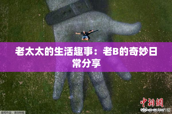 老太太的生活趣事：老B的奇妙日常分享