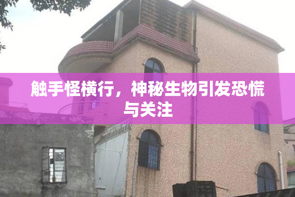 触手怪横行，神秘生物引发恐慌与关注